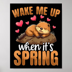 Wake Me Up When It’s Spring Funny Groundhog Day  Poster
