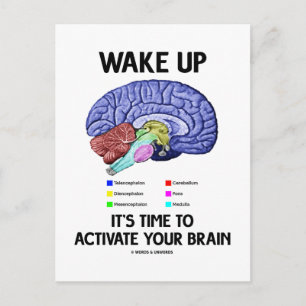 Wake Up It's Time To Activate Your Brain (Humour) Postcard