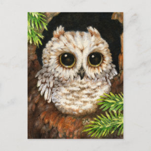 Wake Up, Little Owl - Cute Bird Art Postcard