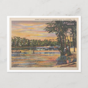 Wakulla Springs Florida Vintage Sunset on Water Postcard