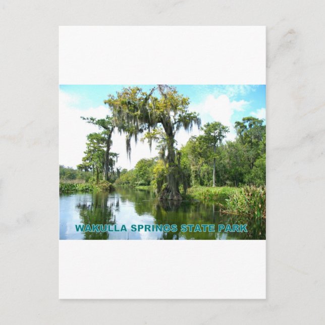 WAKULLA SPRINGS STATE PARK - FLORIDA POSTCARD (Front)