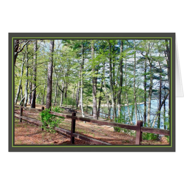 Walden Pond: (Front Horizontal)
