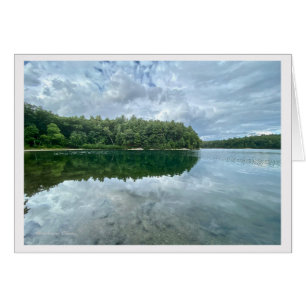 *Walden Pond:Bluebird carries the sky on his back.
