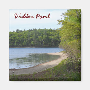 Walden Pond, Concord, MA Magnet