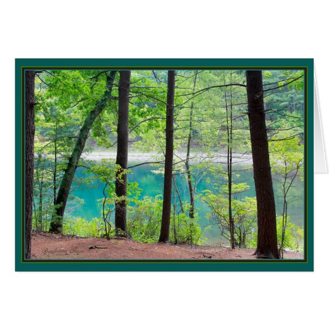 Walden Pond: Ice Fort Cove (Front Horizontal)