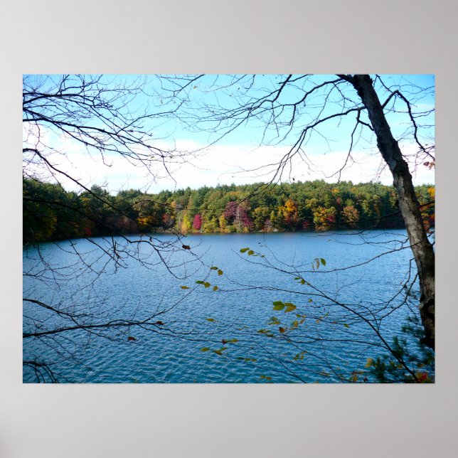 Walden Pond in the Fall Poster (Front)