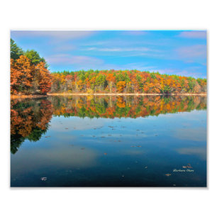 Walden Pond Photo Print