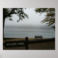 Walden Pond Poster - Contemplative Mist