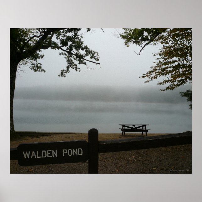 Walden Pond  Poster - Contemplative Mist (Front)