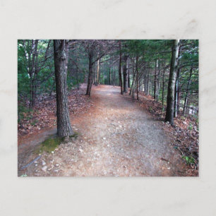 Walden Pond Trail Postcard