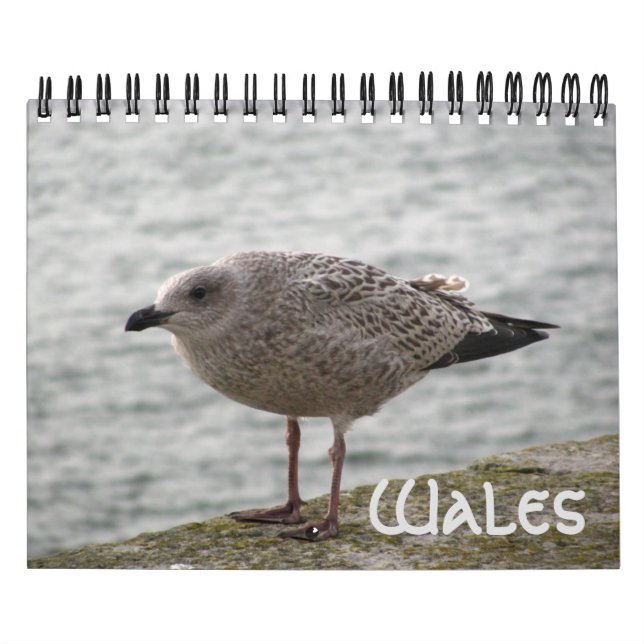 Wales 2022 Calendar (Cover)