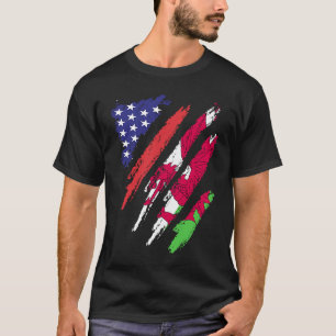 Wales American Grown Flag USA Patriot Heritage Mon T-Shirt