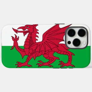 Wales iPhone 16 Pro Max Case
