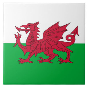 WALES CERAMIC TILE