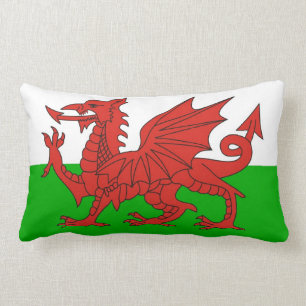 wales country dragon flag welsh british lumbar cushion
