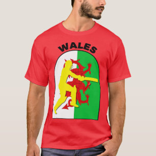 Wales Cricket Batsman Wales Flag T-Shirt