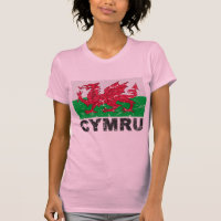 Wales CYMRU Vintage Flag