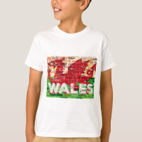 Wales Flag on Brick