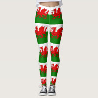 Wales flag Welsh red dragon
