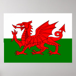 Wales flag Welsh red dragon Poster