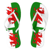 Wales flag Welsh red dragon