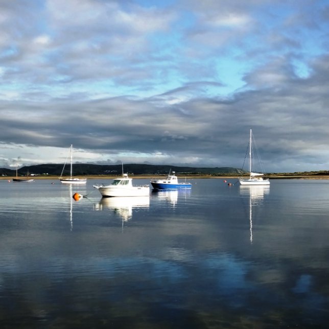 WALES TISSUE PAPER (Creator Uploaded)