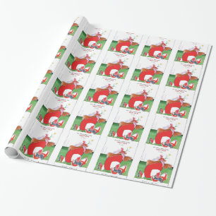 wales v england balls - from tony fernandes wrapping paper