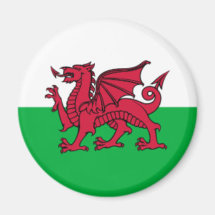 Wales -Welsh Flag Magnet