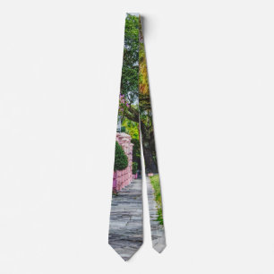 Walk Along Rainbow Row Neck Tie