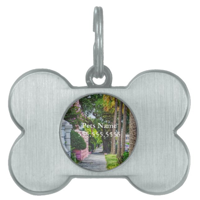 Walk Along Rainbow Row Pet ID Tag (Front)