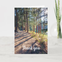 Walk Down Forest Tree Path Thank You