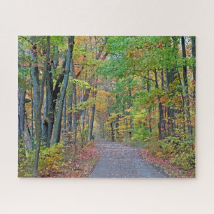 Walk in Autumn Woods Design Puzzle