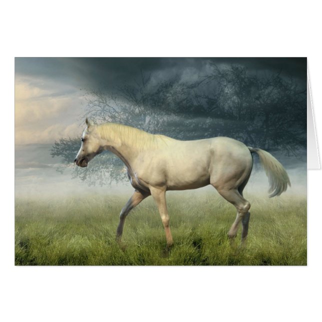 Walk In The Park (Front Horizontal)