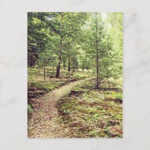 Walk in the park postcard