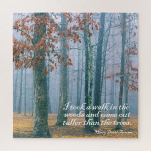 Walk in the Woods  -  20x20 - 676 pcs. Jigsaw Puzzle