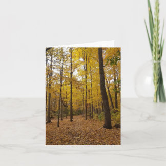 walk in the woods greeting card