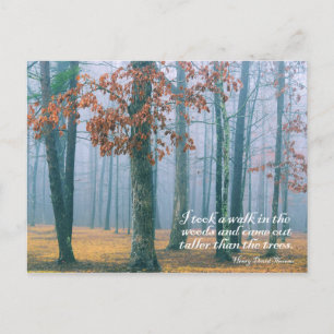 Walk in the Woods - Postcard