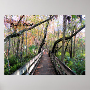 Walk in the Woods Poster