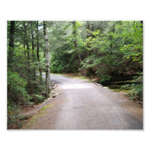 Walk into Serenity Photo Print