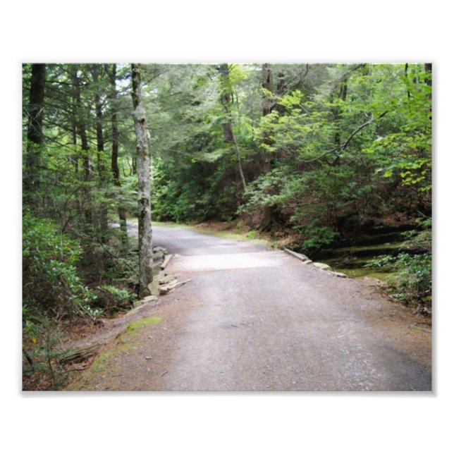 Walk into Serenity Photo Print (Front)