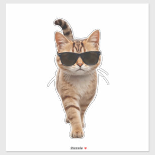 Walk Like You Mean It