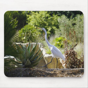 Walk on By (Great Egret) Mouse Pad