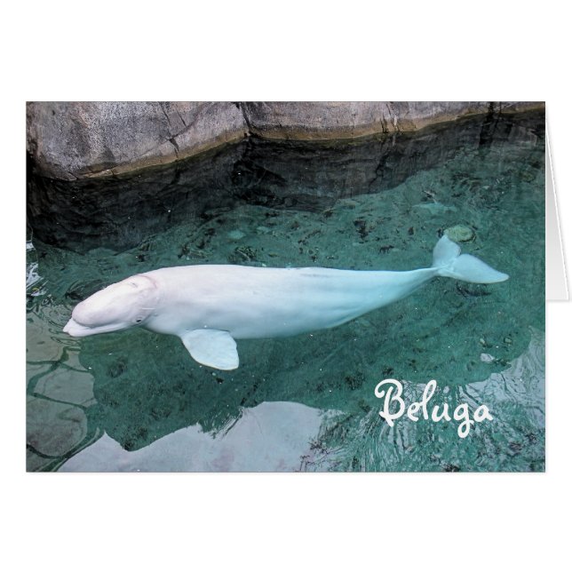 Walk on the Wild Side (Front Horizontal)