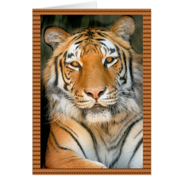 Walk on the Wild Side - Tiger (Front)