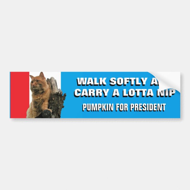 Walk Softly and Carry Nip  Pumpkin for President Bumper Sticker (Front)