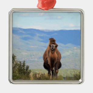 Walk with Muffin Ceramic Ornament