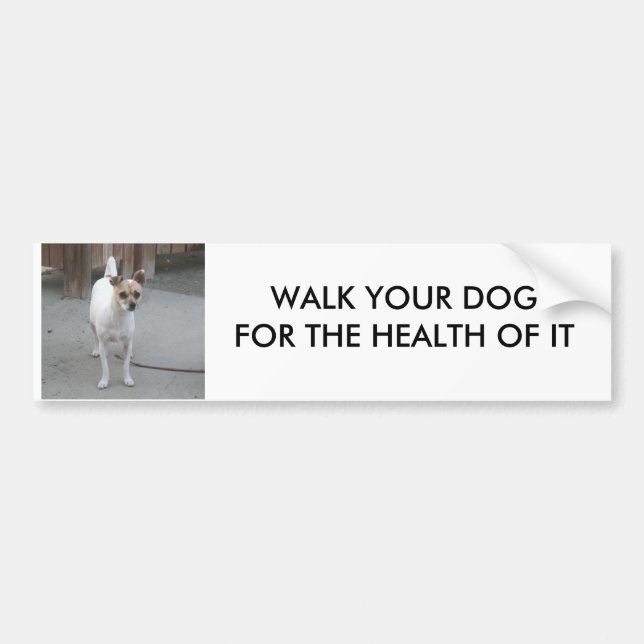 WALK YOUR DOG BUMPER STICKER (Front)