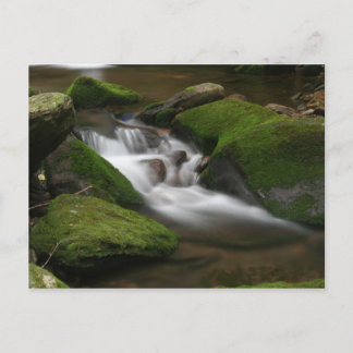 Walker Creek Postcard