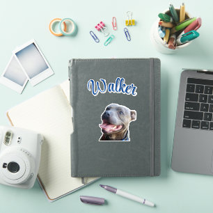 Walker Name With Staffy Bull Terrier, 