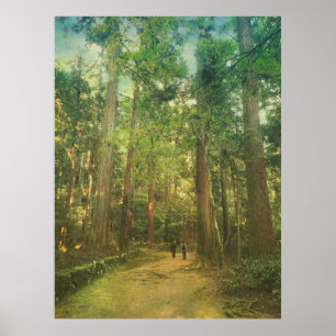 Walking Along Tranquil Kozan-ji Forest Kyoto Japan Poster